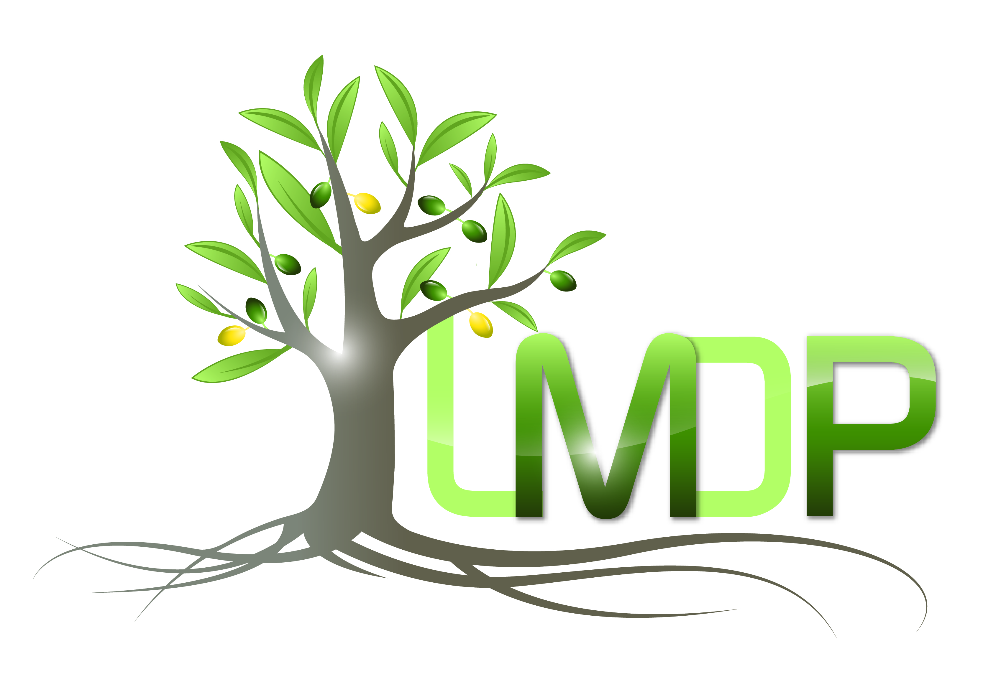 logo LMDP